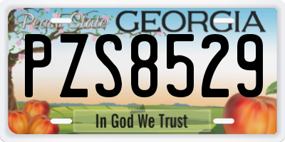 GA license plate PZS8529