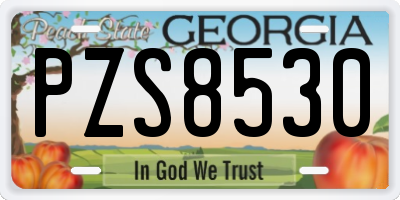 GA license plate PZS8530