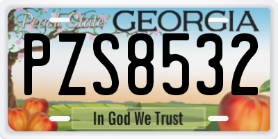 GA license plate PZS8532
