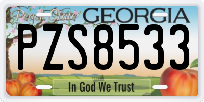 GA license plate PZS8533