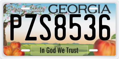 GA license plate PZS8536