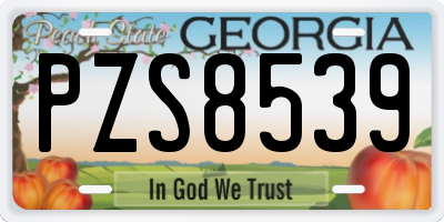GA license plate PZS8539