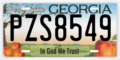 GA license plate PZS8549