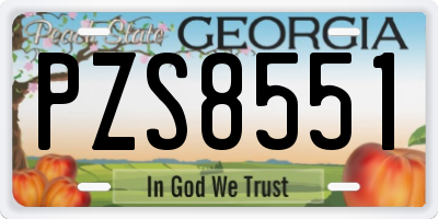 GA license plate PZS8551