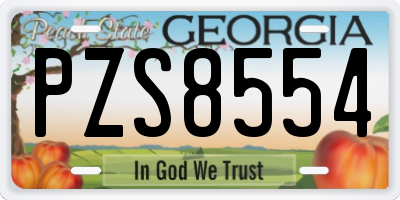 GA license plate PZS8554