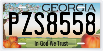 GA license plate PZS8558