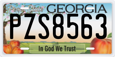 GA license plate PZS8563