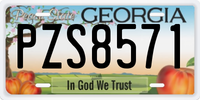 GA license plate PZS8571