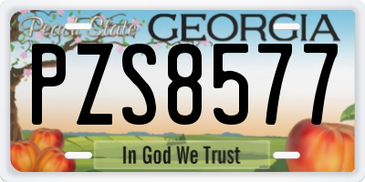 GA license plate PZS8577