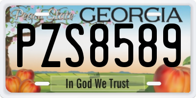 GA license plate PZS8589
