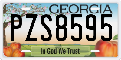 GA license plate PZS8595
