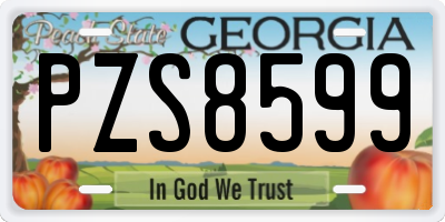GA license plate PZS8599
