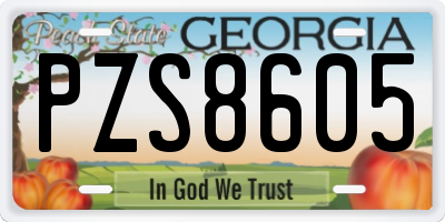 GA license plate PZS8605