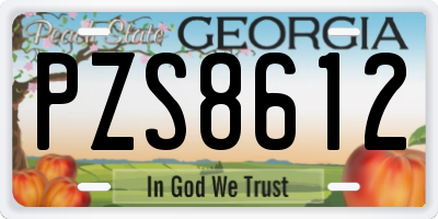 GA license plate PZS8612