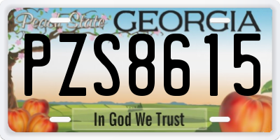 GA license plate PZS8615