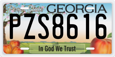 GA license plate PZS8616