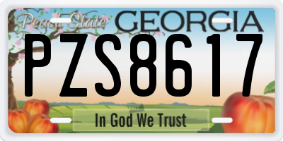 GA license plate PZS8617
