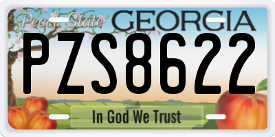 GA license plate PZS8622