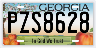 GA license plate PZS8628