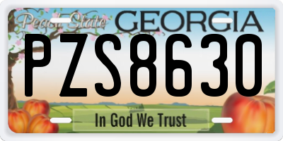 GA license plate PZS8630