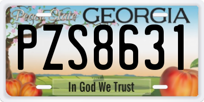 GA license plate PZS8631