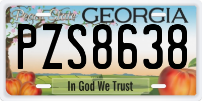 GA license plate PZS8638