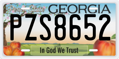 GA license plate PZS8652