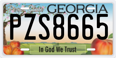 GA license plate PZS8665