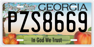 GA license plate PZS8669