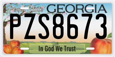 GA license plate PZS8673