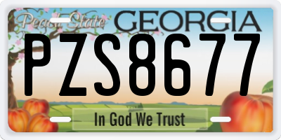 GA license plate PZS8677