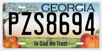 GA license plate PZS8694