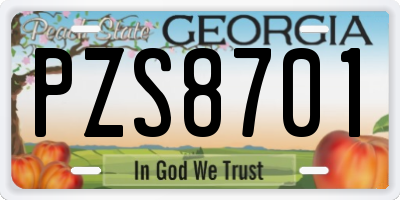 GA license plate PZS8701