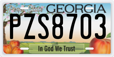 GA license plate PZS8703