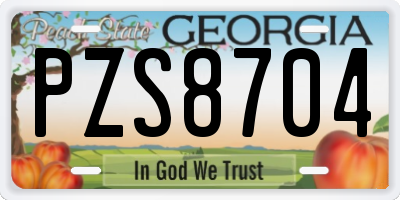GA license plate PZS8704