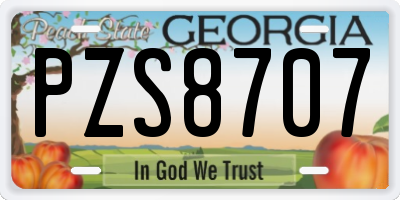 GA license plate PZS8707