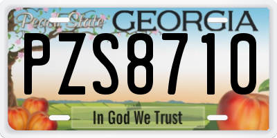 GA license plate PZS8710