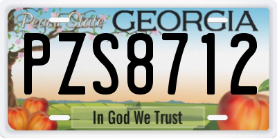 GA license plate PZS8712