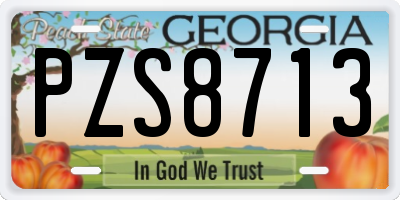 GA license plate PZS8713