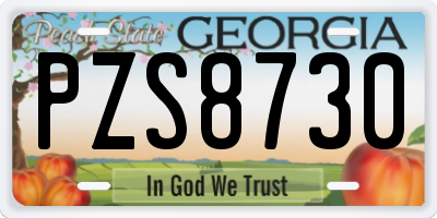 GA license plate PZS8730