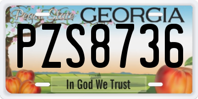 GA license plate PZS8736