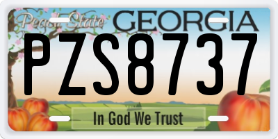 GA license plate PZS8737