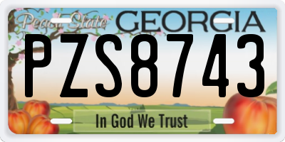 GA license plate PZS8743