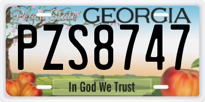 GA license plate PZS8747