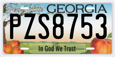 GA license plate PZS8753