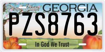 GA license plate PZS8763