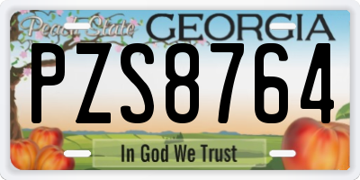 GA license plate PZS8764