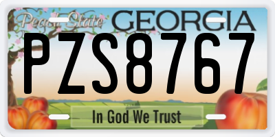 GA license plate PZS8767