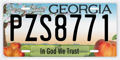 GA license plate PZS8771