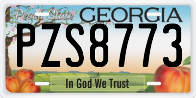 GA license plate PZS8773